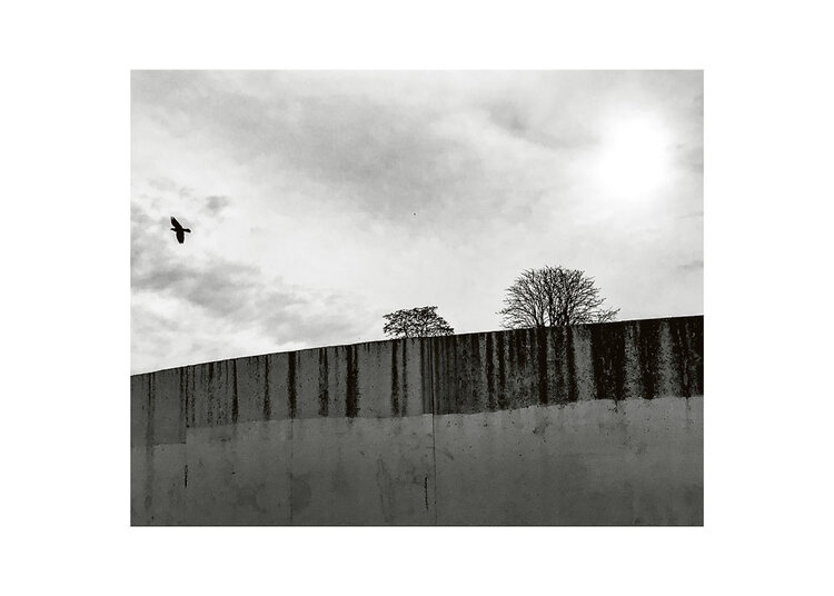 Le mur et l'oiseau